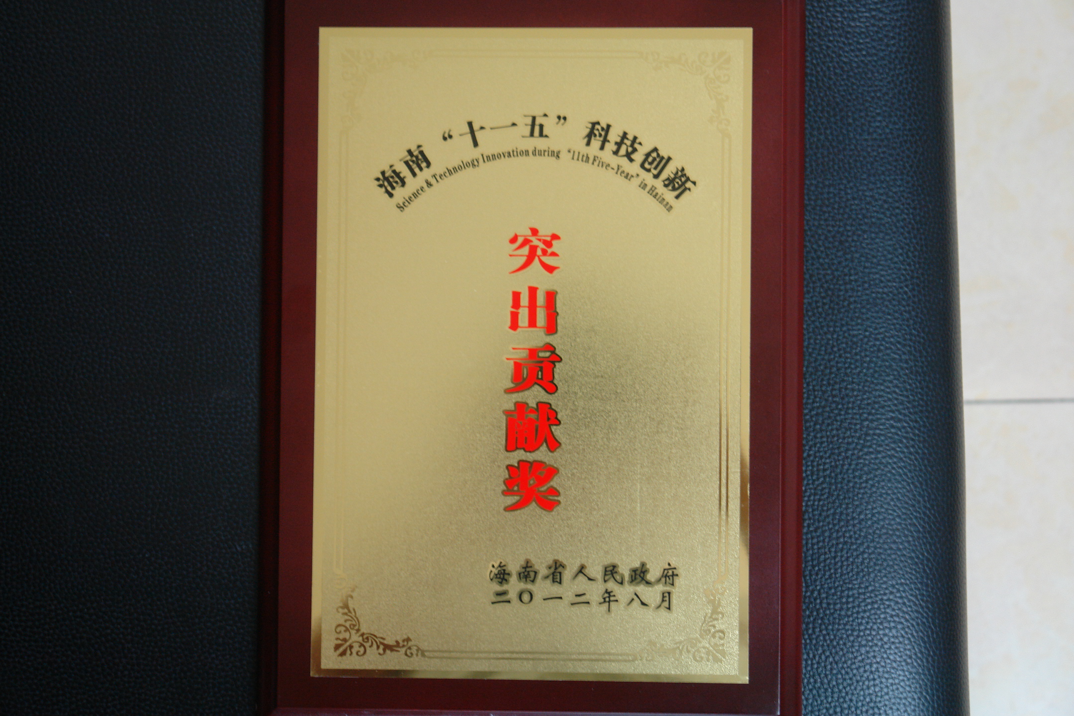 2012年8月，海南省地质调查院获得省政府表彰十一五期间突出贡献团队