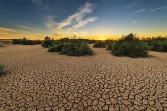 全球超四成陆地属于干旱18被森林覆盖