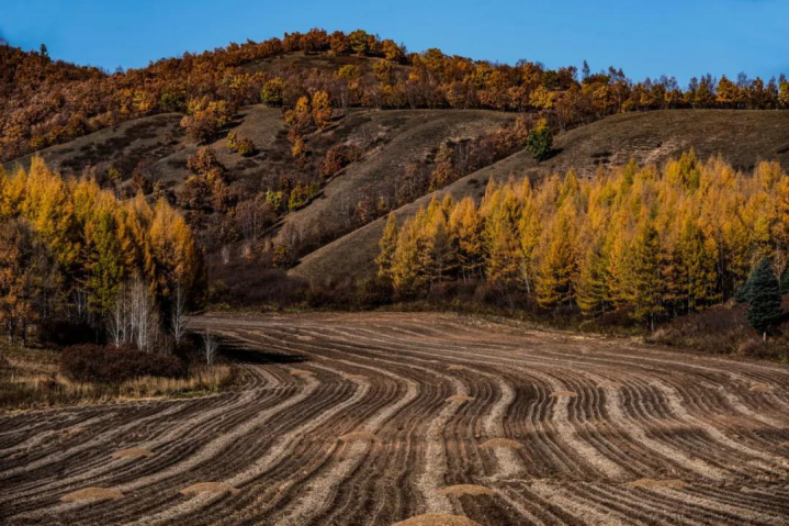 辽阔的土地图片图片